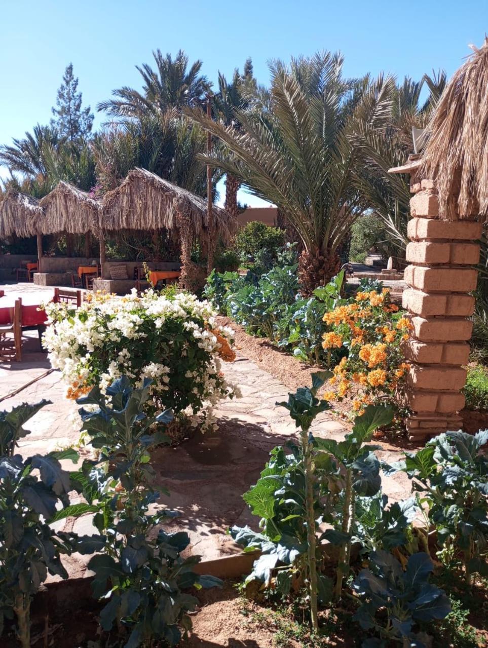 Kasbah Baha Baha Bed & Breakfast Nkob Exterior photo